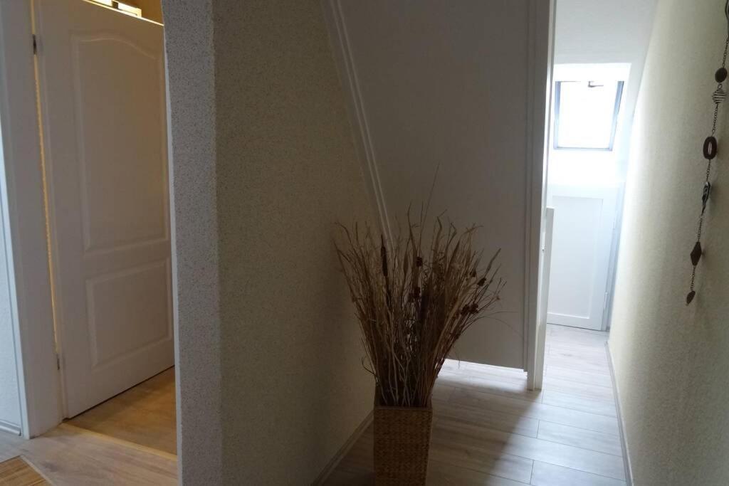 Ferienwohnung Ca 85 Qm Zzgl 17 Qm Terrasse Ανόβερο Εξωτερικό φωτογραφία
